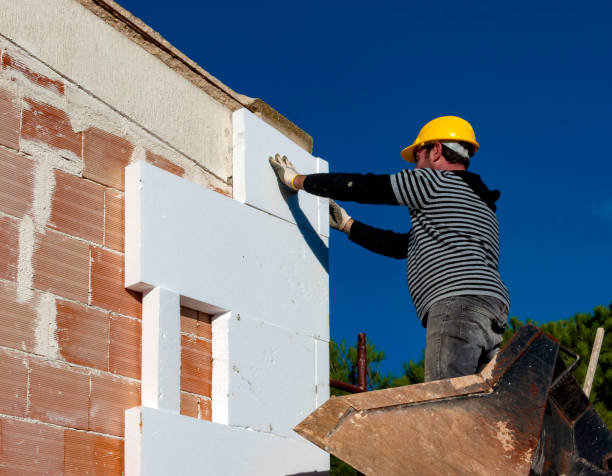 Best Home Insulation Services  in Mccullom Lake, IL