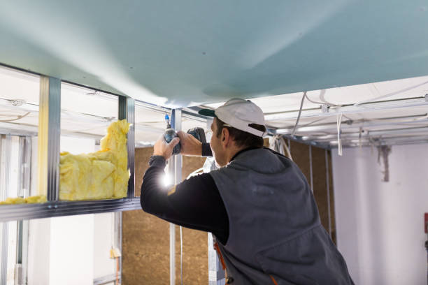 Best Insulation Inspection Services  in Mccullom Lake, IL