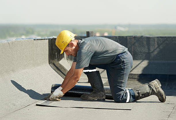 Best Attic Insulation Installation  in Mccullom Lake, IL