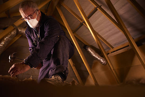 Best Garage Insulation Installation  in Mccullom Lake, IL