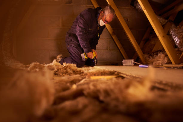 Best Insulation Repair Services  in Mccullom Lake, IL